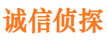 锦江市侦探调查公司